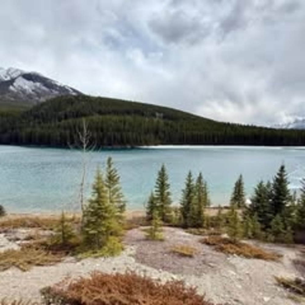 Meet your Posher, Shama